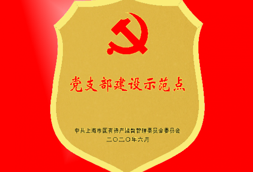 上海芯超生物科技有限公司党支部获“党支部建设示范点”