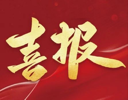 医学科技创新之光——2024 年中华医学科技奖