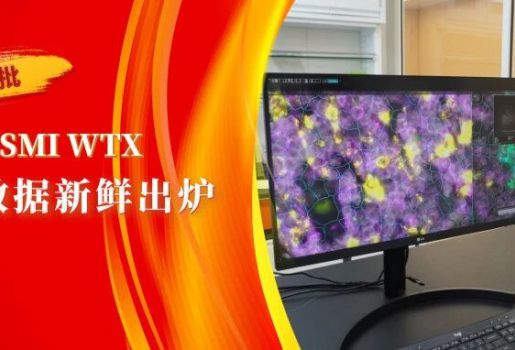 芯空一号Update | 国内首批CosMx SMI WTX实测数据新鲜出炉