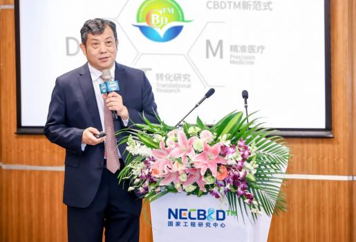 策马奔腾，循“芯”逐梦